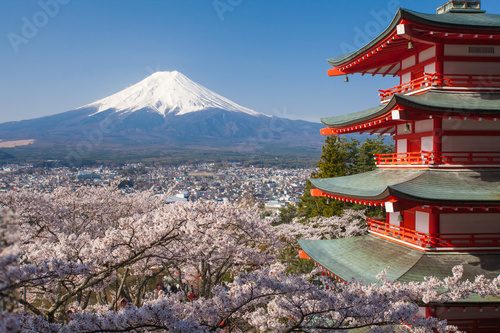 Fototapeta Japan beautiful landscape Mountain Fuji and Chureito red pagoda with cherry blossom sakura