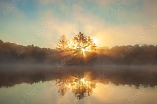 Fototapeta Sunrise through pine trees fog and a sunburst on a northern Minnesota lake during summer